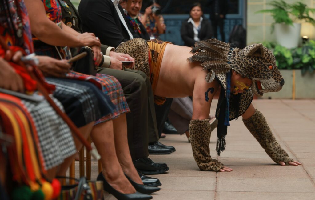 WhatsApp Image 2025-02-21 at 13.58.38 (2)