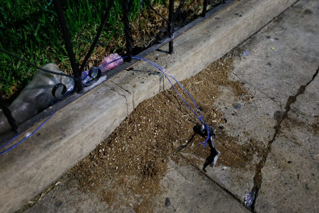 WhatsApp Image 2025-07-18 at 10.42.18