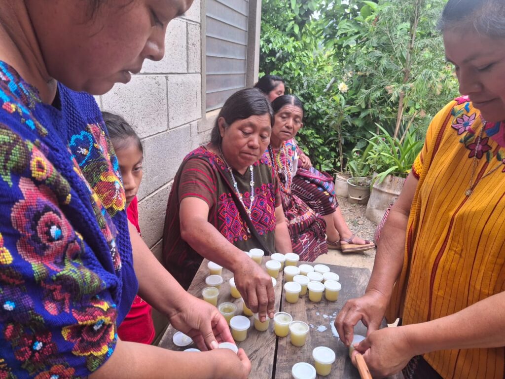 WhatsApp Image 2025-07-23 at 15.37.07