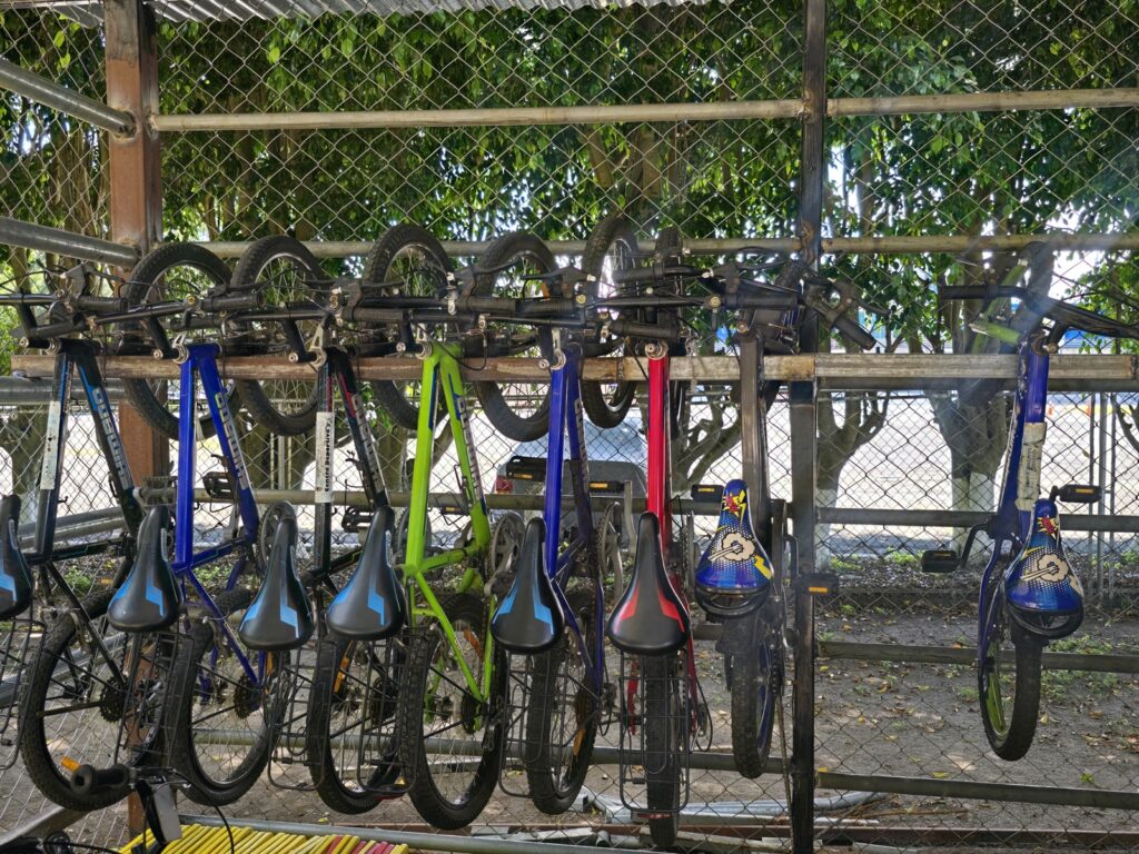 WhatsApp Image 2025-08-04 at 12.17.29