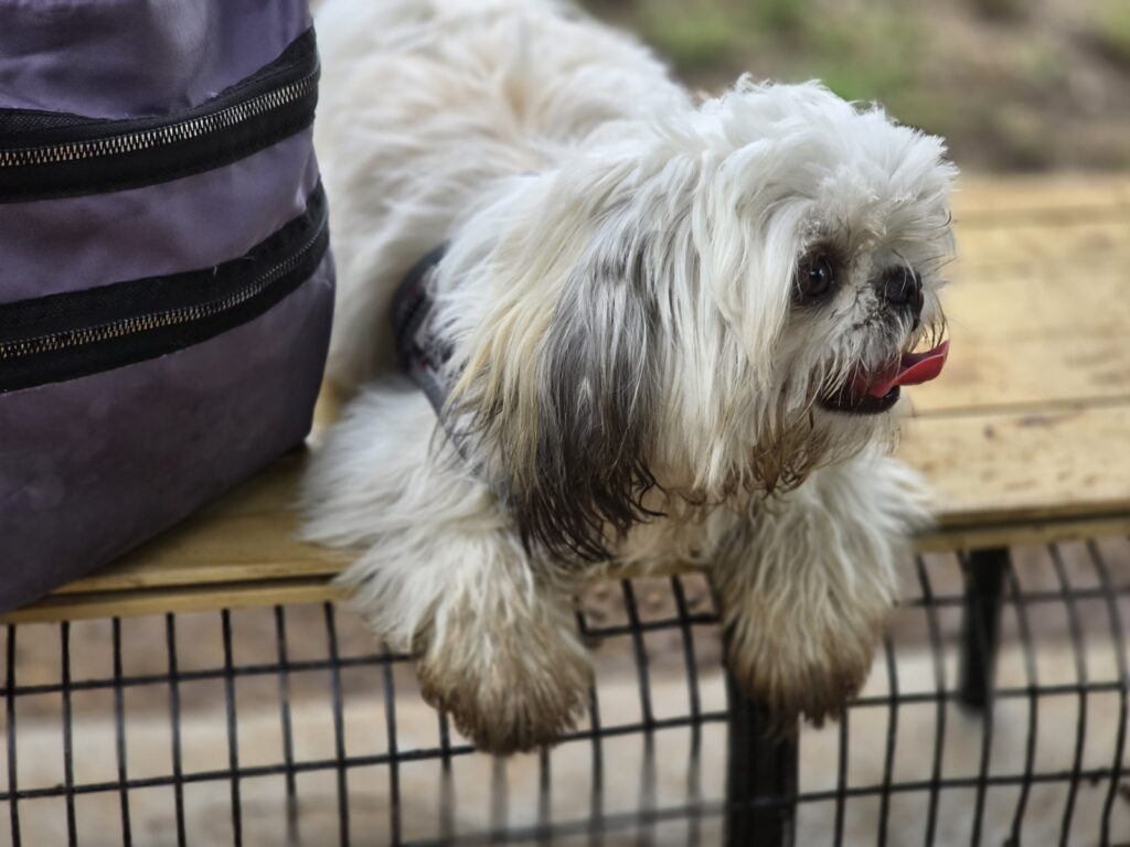 WhatsApp Image 2025-08-14 at 14.00.34