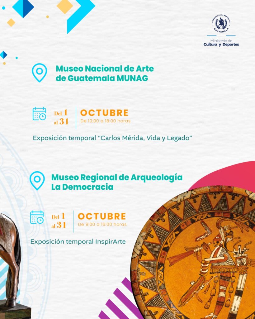 WhatsApp Image 2025-09-29 at 17.22.24