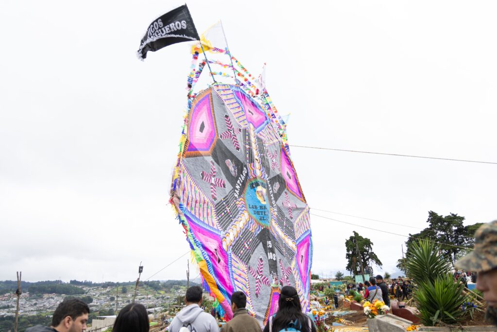 WhatsApp Image 2025-10-31 at 09.42.54