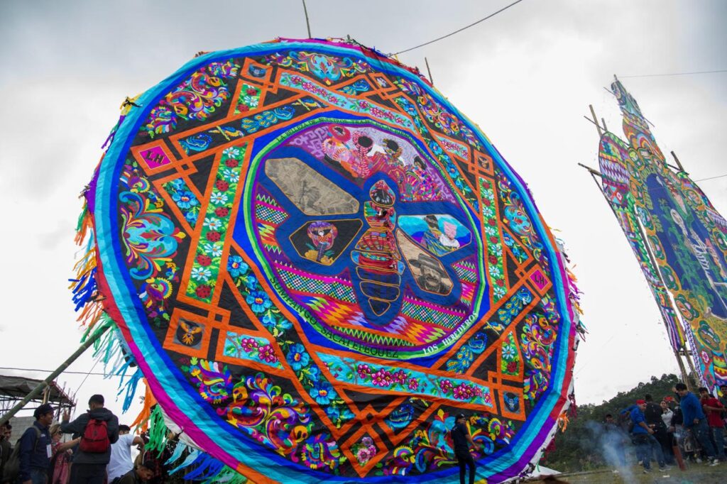 WhatsApp Image 2025-10-31 at 09.42.55