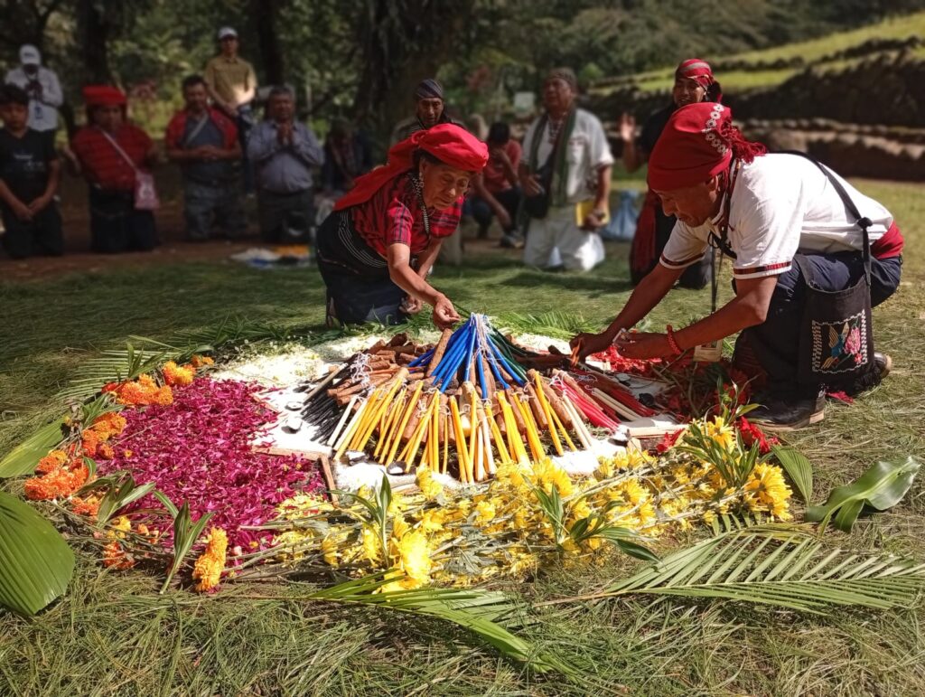 WhatsApp Image 2025-10-31 at 11.08.25