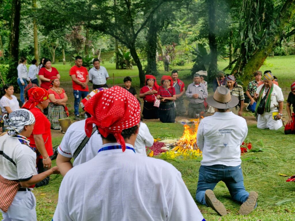 WhatsApp Image 2025-10-31 at 11.10.08