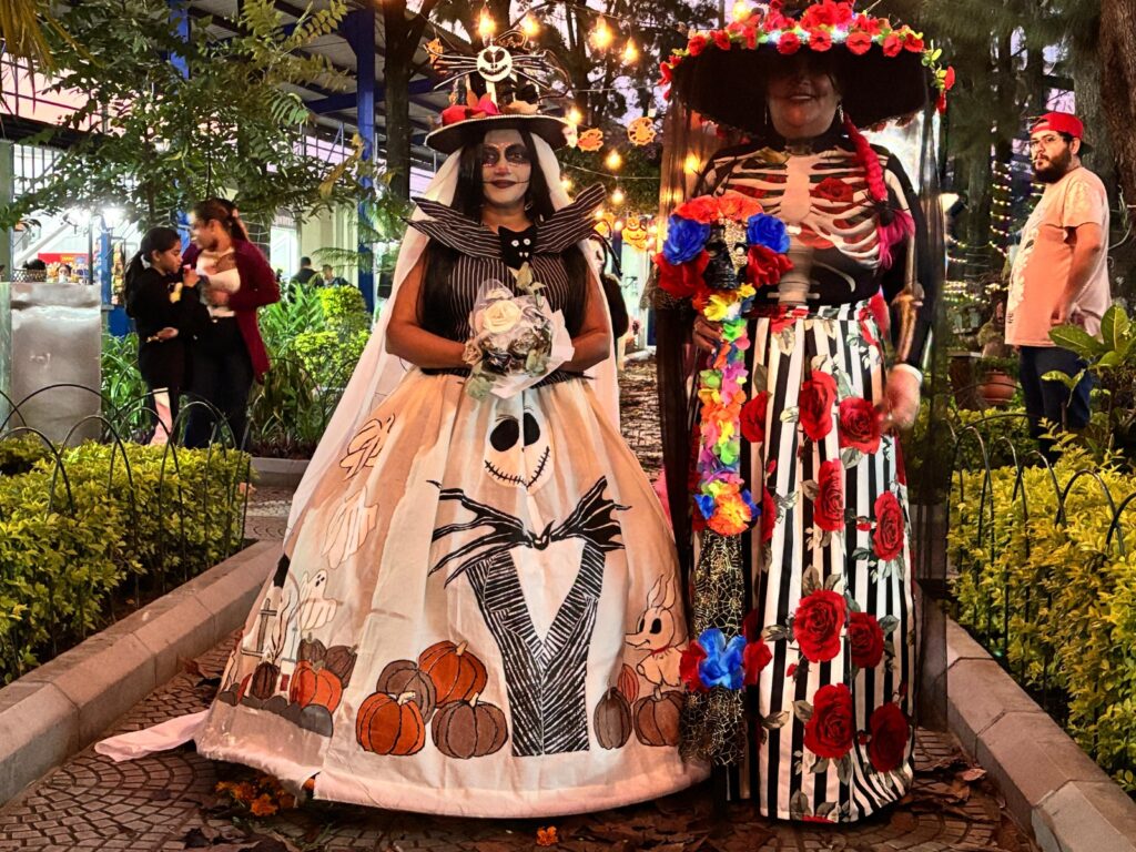 WhatsApp Image 2025-10-31 at 12.12.01 (1)