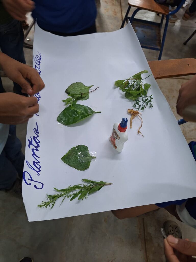 WhatsApp Image 2025-11-17 at 16.09.43