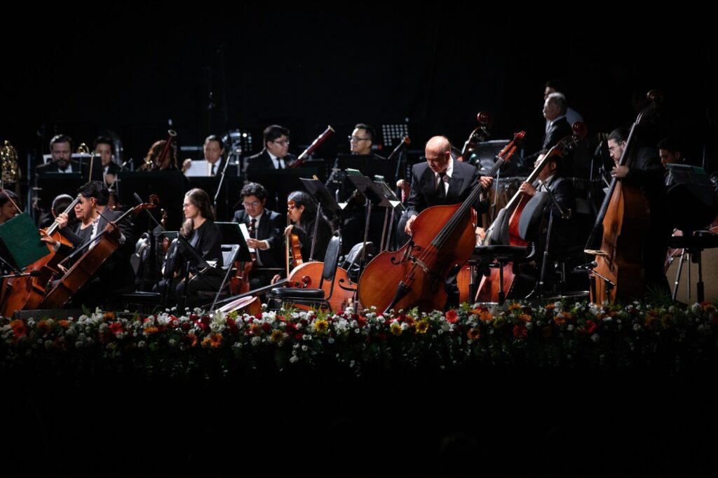 WhatsApp Image 2025-11-17 at 17.04.49 (1)