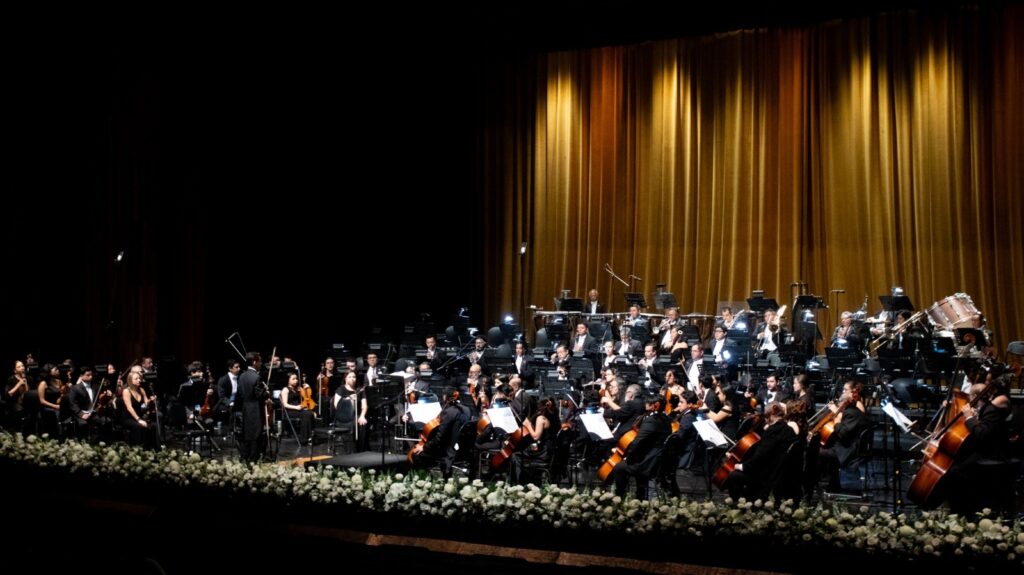 WhatsApp Image 2025-11-18 at 15.20.57