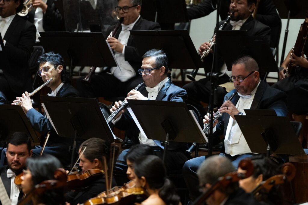 WhatsApp Image 2025-11-18 at 15.21.01