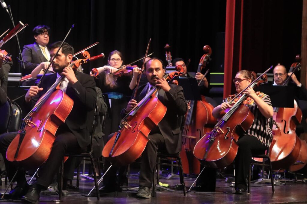 WhatsApp Image 2025-11-18 at 15.21.03