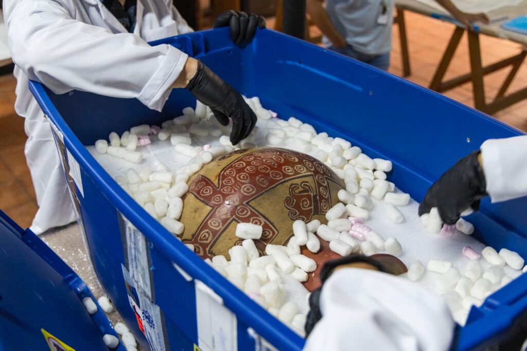 WhatsApp Image 2025-11-20 at 15.44.54 (1)