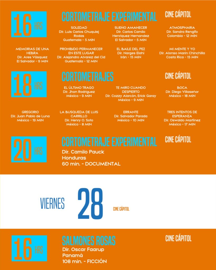 WhatsApp Image 2025-11-21 at 09.45.10