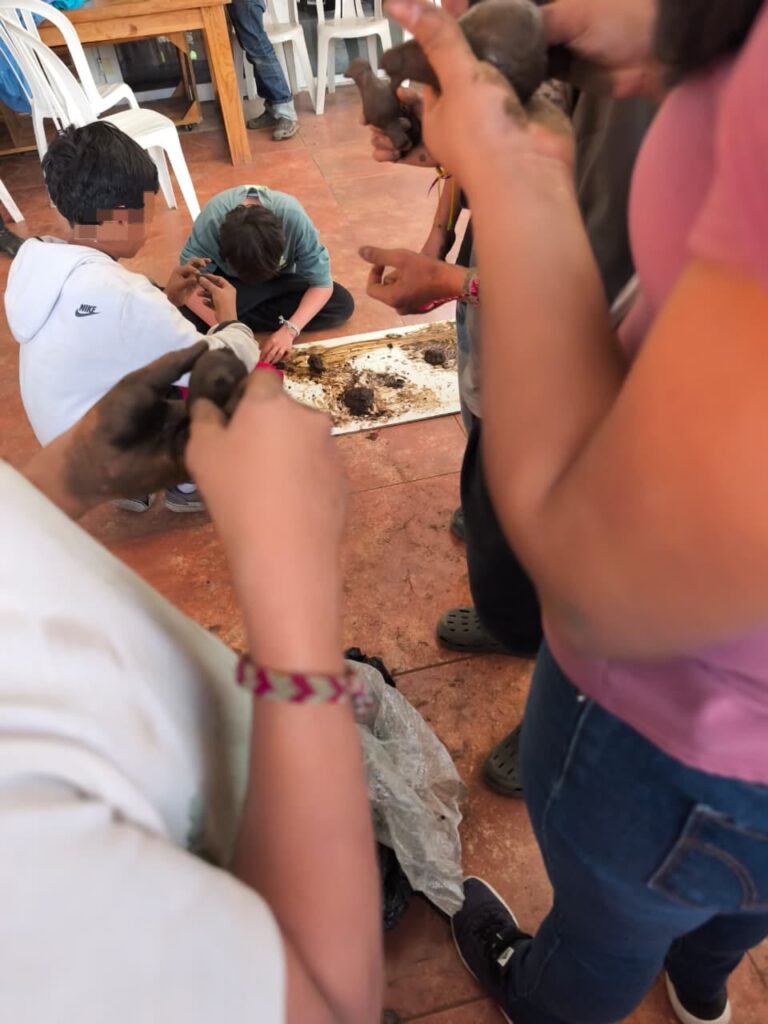 WhatsApp Image 2025-11-27 at 10.33.22