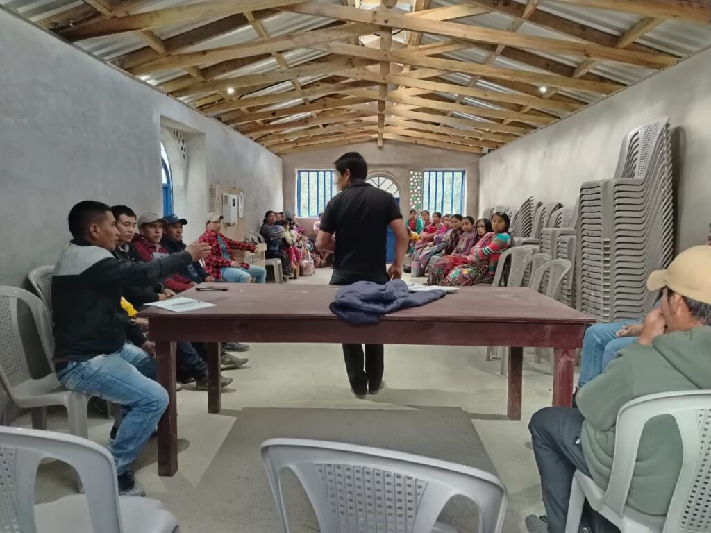 WhatsApp Image 2025-12-05 at 15.48.19