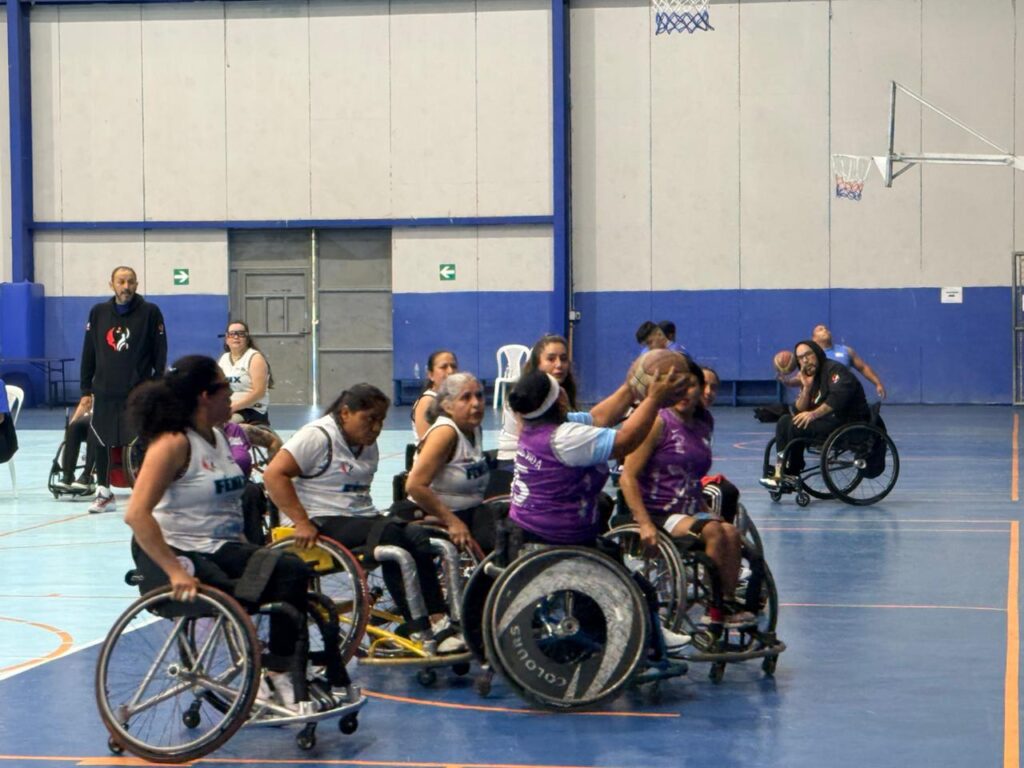 WhatsApp Image 2025-12-12 at 18.01.10 (1)