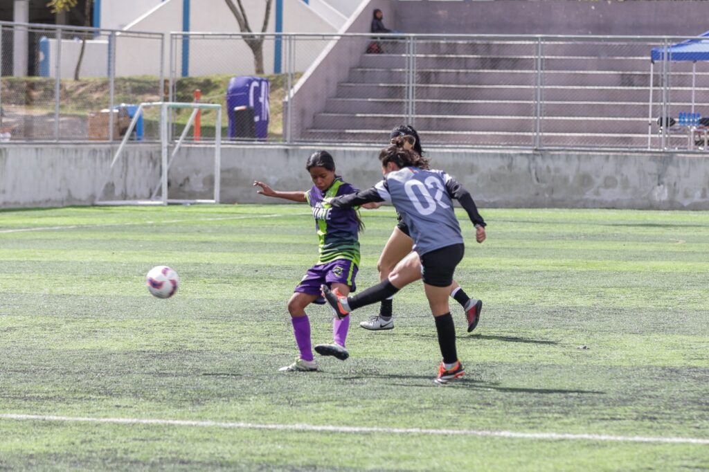 WhatsApp Image 2025-12-12 at 20.40.57 (2)