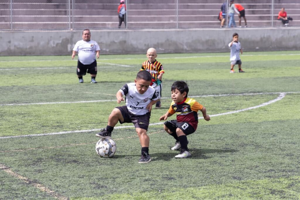 WhatsApp Image 2025-12-15 at 11.08.26 (2)