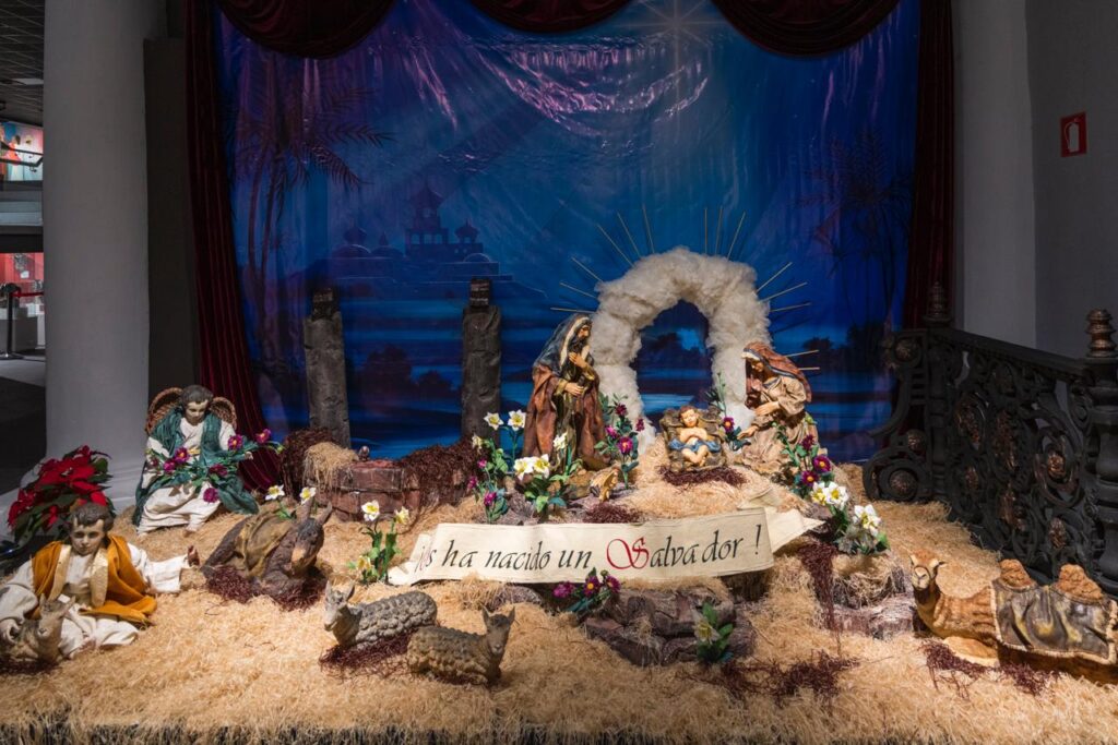 WhatsApp Image 2025-12-19 at 12.50.09 (2)