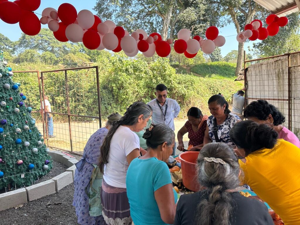 WhatsApp Image 2025-12-19 at 15.57.03