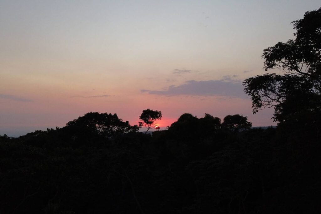 WhatsApp Image 2025-12-21 at 19.43.12 (1)