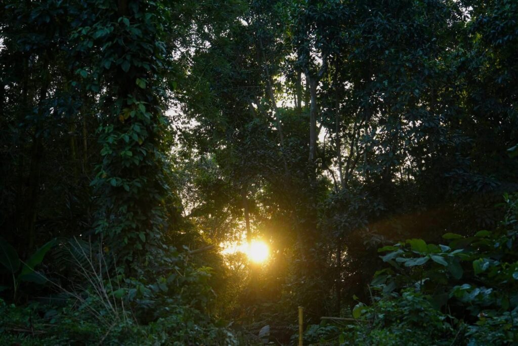 WhatsApp Image 2025-12-21 at 19.43.13