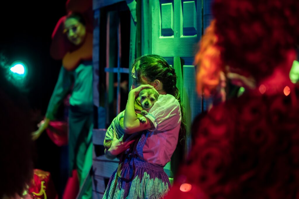 WhatsApp Image 2025-12-22 at 17.10.40